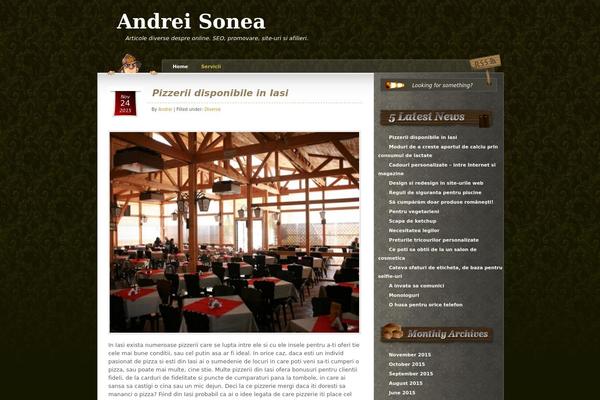 andreisonea.com site used Curious-new
