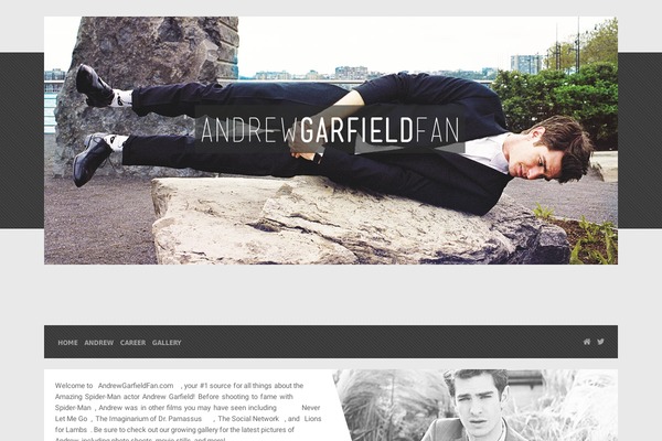 andrewgarfieldfan.com site used Sin21