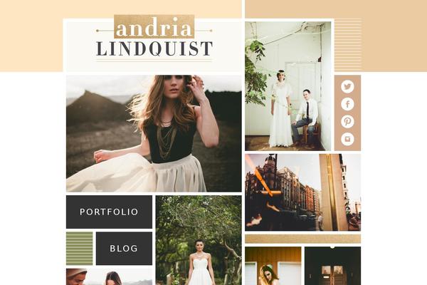 andria theme websites examples