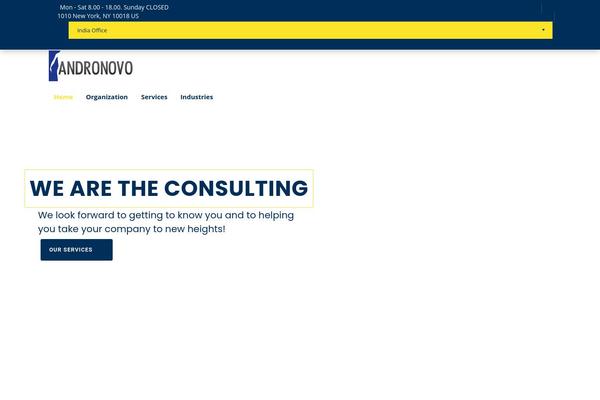 andronovo.com site used Consulting_5.0.1