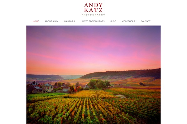 The7 theme site design template sample