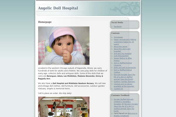 WordPress website example screenshot