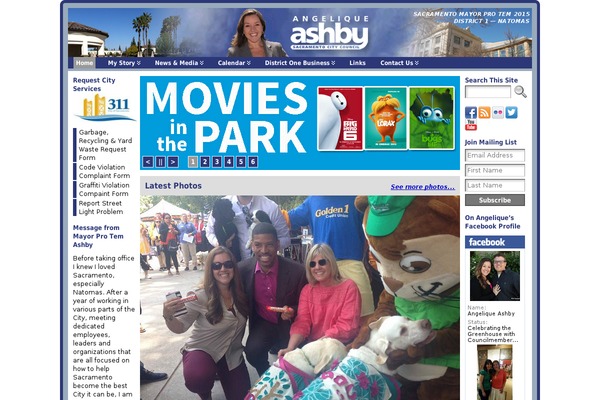 WordPress website example screenshot