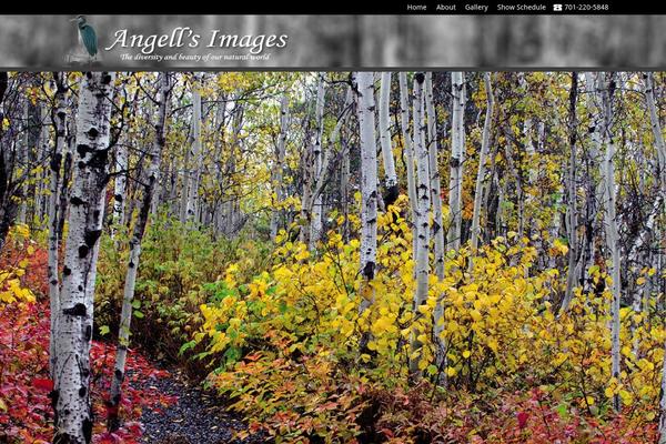 angellsimages.com site used Angells