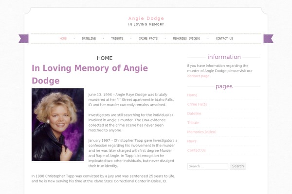 WordPress website example screenshot