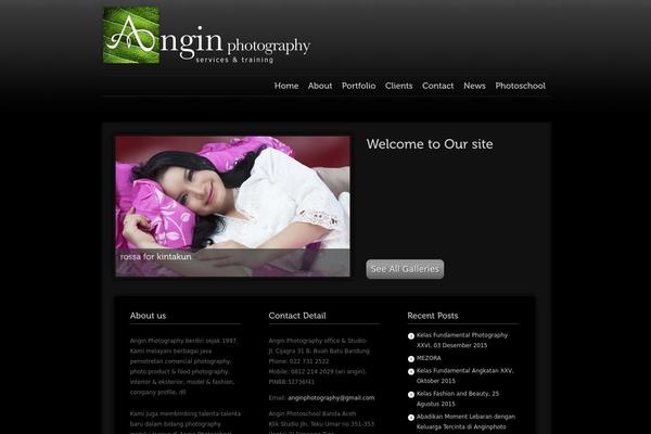 anginphotography.com site used Anginfolio2