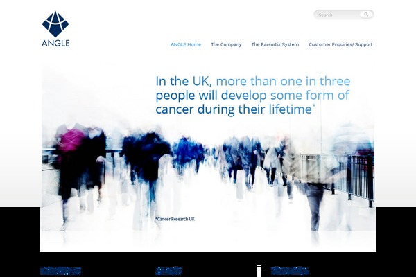 angleplc.com site used Sobold