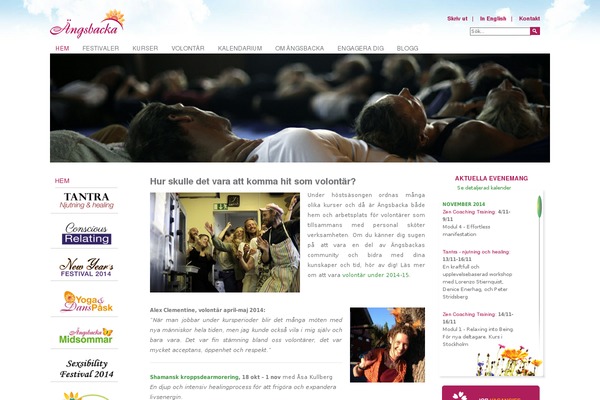 Site using Divi-booster plugin