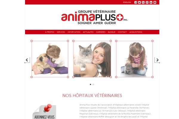 anima-plus.com site used Anima-plus