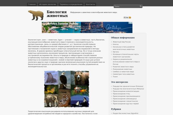 WordPress website example screenshot