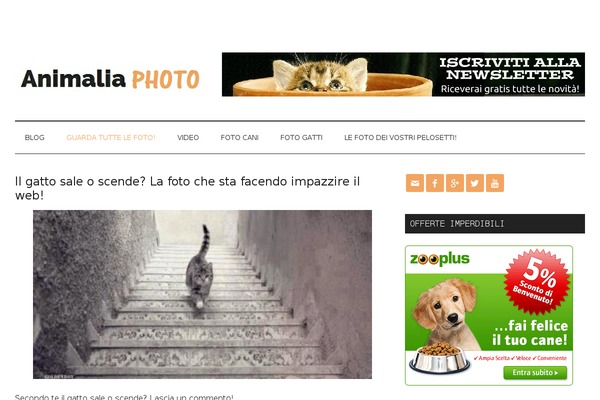 Magazine Pro theme site design template sample