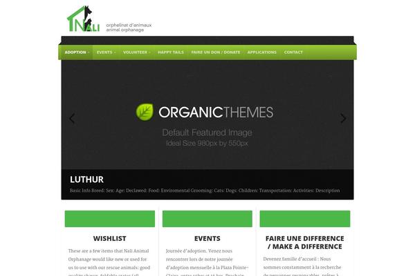 NonProfit theme site design template sample