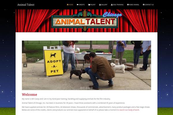 WordPress website example screenshot