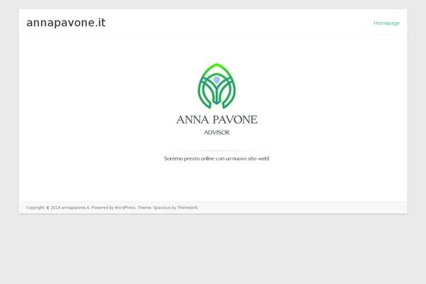 Spacious theme site design template sample