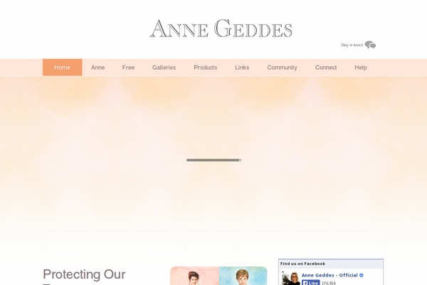 anne theme websites examples