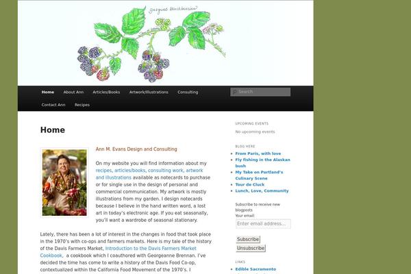 WordPress website example screenshot