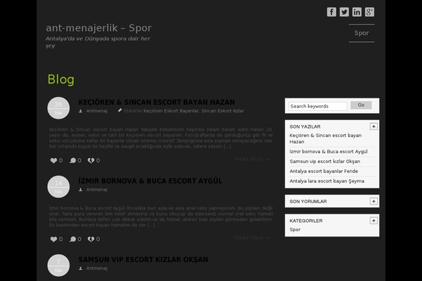 WordPress website example screenshot