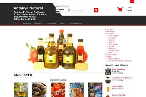 Alpha Store theme site design template sample