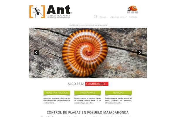 BeTheme theme site design template sample