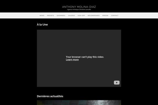 Photographer-wp theme site design template sample