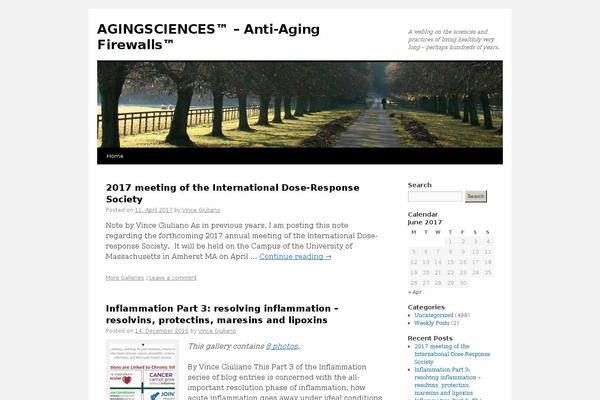 WordPress website example screenshot