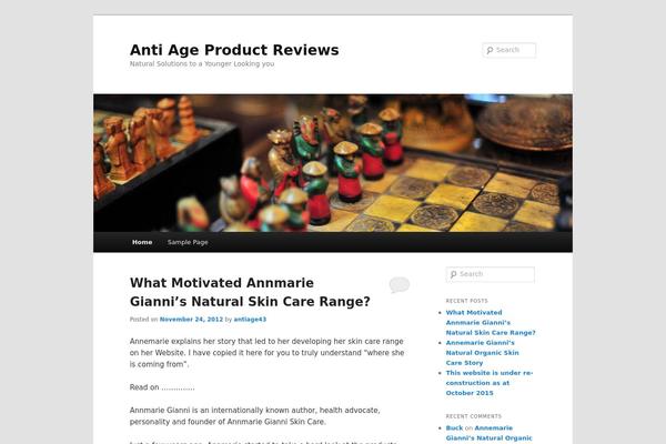 Twenty Eleven theme site design template sample