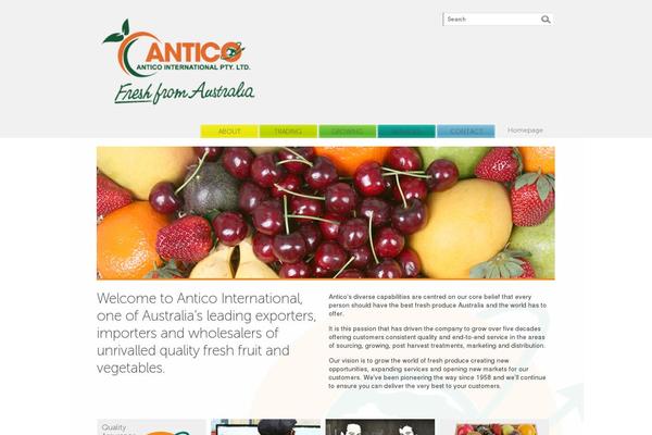 antico.com.au site used Antico