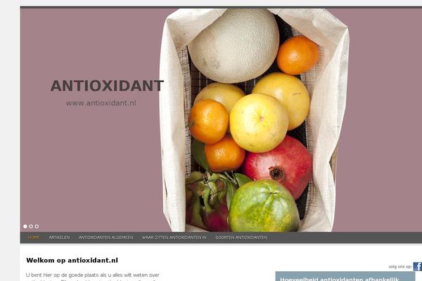 antioxidant.nl site used Antioxidant