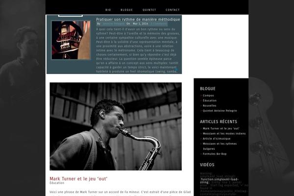 antoinepelegrin.com site used Custom_ap2