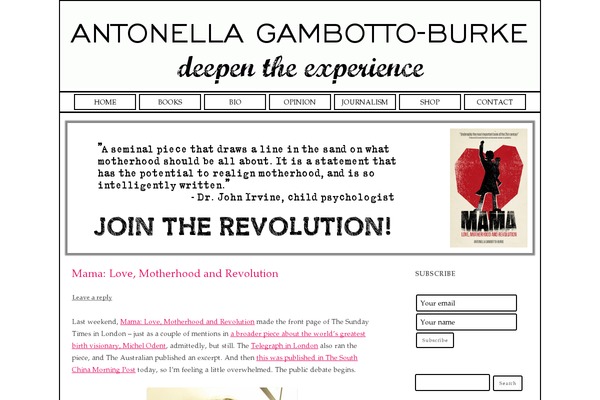 antonellagambottoburke.com site used Antonella