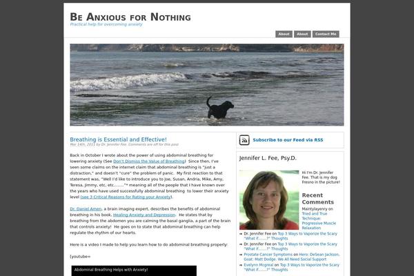 WordPress website example screenshot