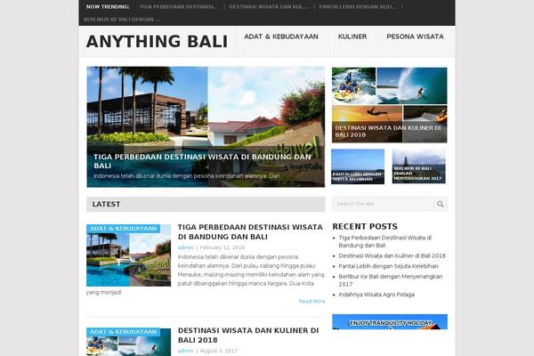 Point theme site design template sample