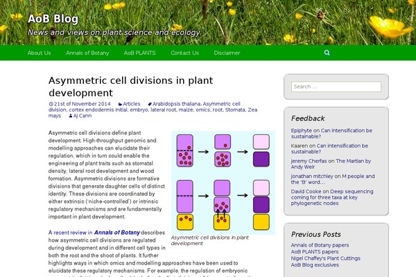 Site using Jetpack-boost plugin