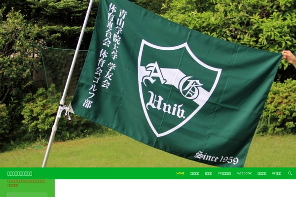 Anjirai theme site design template sample