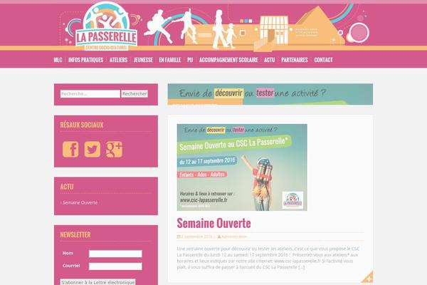 apam theme websites examples