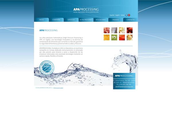apaprocessing.com site used Apa