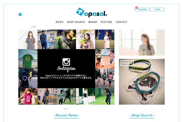 apasal.net site used Apasal_v2