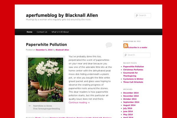 Twenty Eleven theme site design template sample