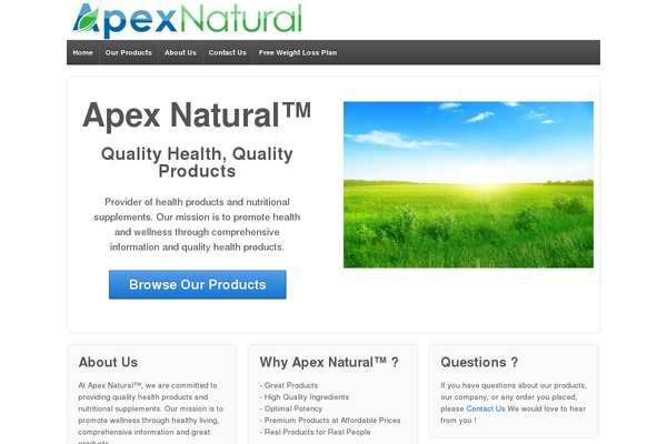 WordPress website example screenshot