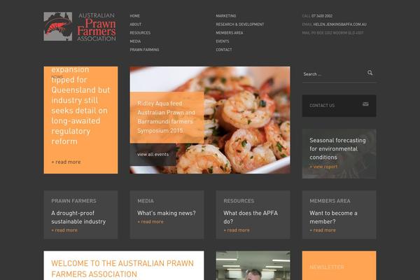 apfa theme websites examples