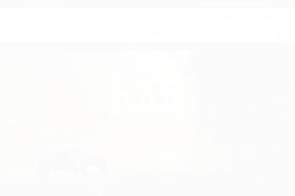 horseclub-child theme websites examples