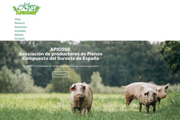 apicose.com site used Apicose