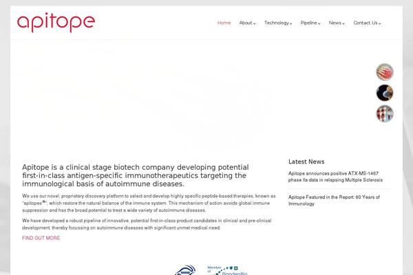 apitope.com site used Apitope-theme