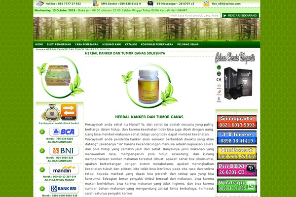 IndoStore theme site design template sample