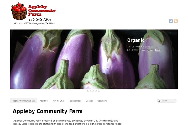 PageLines theme site design template sample