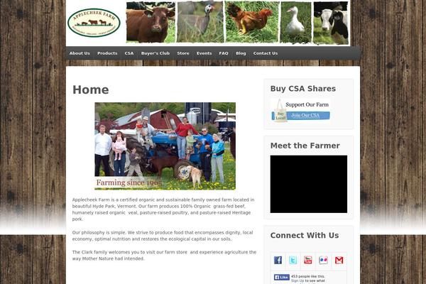 Responsive theme site design template sample