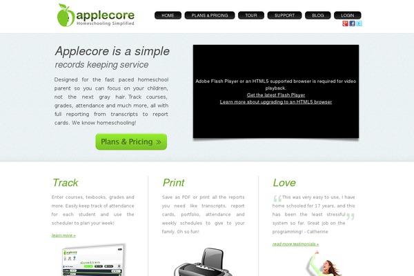 Chameleon theme site design template sample