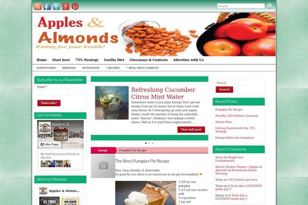 WordPress website example screenshot