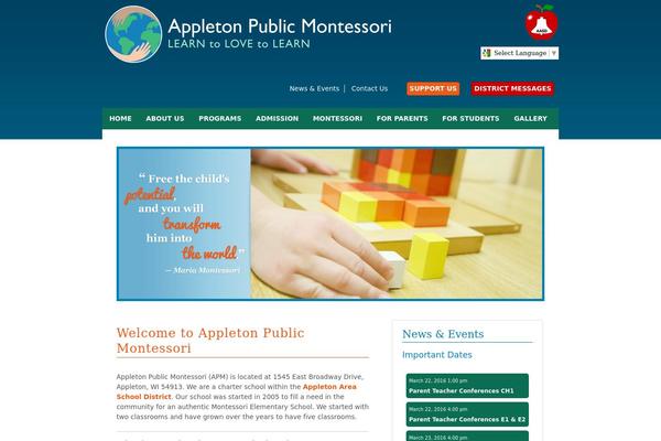 Appleton theme site design template sample