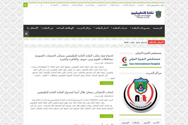 Sahifa theme site design template sample